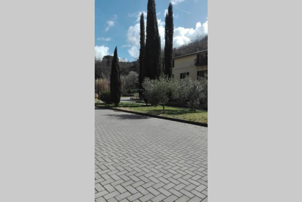 Casazappa - In Centro A Piedi, Parcheggio E Giardino Privato Apartment Siena Luaran gambar